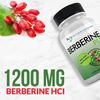 DOCTOR RECOMMENDED SUPPLEMENTS Berberine Plus 1200mg Per Serving - 120 Veggie Capsules with Royal Jelly