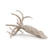 CollectA Belemnite Figurine Collectable Toy