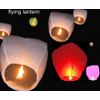 5 Mix - Eco-Friendly Chinese Flying Floating Sky Lanterns (A Liittle Tree)