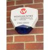 Dummy Decagon Intruder Alarm Bellbox