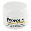Propolis Lip Balm Jar 5 ml