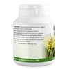 Fennel Seed 400mg x 90 Capsules (100% Additive Free Supplements)