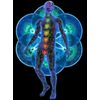 Energy booster - ADVANCED PAIN RELIEF - 610MG - holy basil leaf extract - 2 Bot
