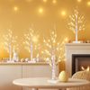Home Decorations Light up White Birch Tree Indoor Christmas Decor, 4 Pack Bat...