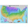 (2ct) Caladium Fannie Munson Bulbs #2 Fresh 2023