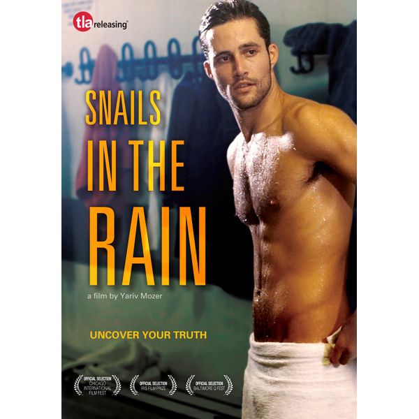 Snails In The Rain