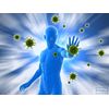 Detoxification Support Caps - Stem Cell Booster 500mg - Blue Algae Powder 1B