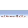 Noch 36712 Pigs Landscape Modelling