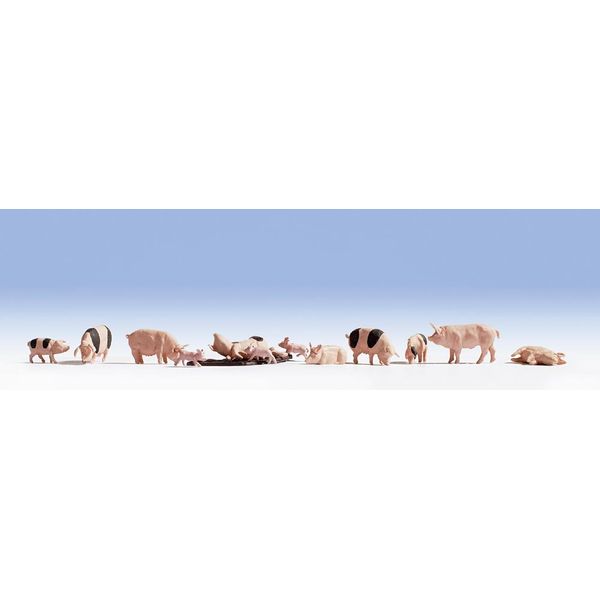 Noch 36712 Pigs Landscape Modelling