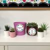 CTP Bright Blooms 3" Cut-Outs Classroom Accents (Creative Teaching Press 10883)