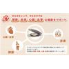 Kyoritsu Pharmaceutical Moegitab (Tablet), 100 Capsules/Box (10 tablets x 10 sheets) x 2