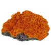 Aquarium Ornament Artificial Orange Sun Coral