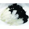 Imitation Eagle Quills (1oz Black and White)