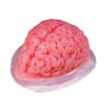 Plastic Brain Jello Mold