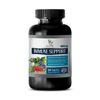 immune support e - IMMUNE SUPPORT COMPLEX - graviola fruit fresh 1B