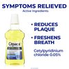 Cepacol Antibacterial Multi-Protection Mint Freshening Mouthwash 24 oz