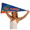 Florida Gators Gator Logo Pennant Banner Flag