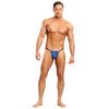 Male Power Satin Posing Strap, One Size, Royal Blue