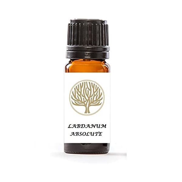 Therapeutic Grade 100% Pure Labdanum Absolute Oil (5ml)