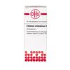 Calamus aromaticus D6 DHU Globuli, 10 g GLO