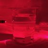 24V Colloidal Silver Generator with 99.99% Silver. Just add Water & Jar!