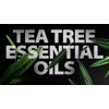 Spar Soap Bars (4 Ounce (Pack of 1), Citrus Tea Tree)
