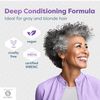 Go Gray Treatment System (Treat)