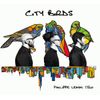 City Birds