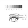 Lunasol The Beige Eyes 01 Neutral Beige Eyeshadow