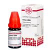DHU Arnica LM XII Dilution, 10 ml Lösung