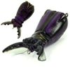 Molix Superborn Beetle Baby Col. Black Red Stripes