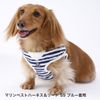Marin Vest Harness & Lead for Small Dog
