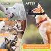Dog Muzzle, Muzzle for Large Dogs, Breathable Mesh Dog Muzzle Large Breed with Adjustable Loop, Dog Muzzles to Prevent Biting and Barking (Black, Large)