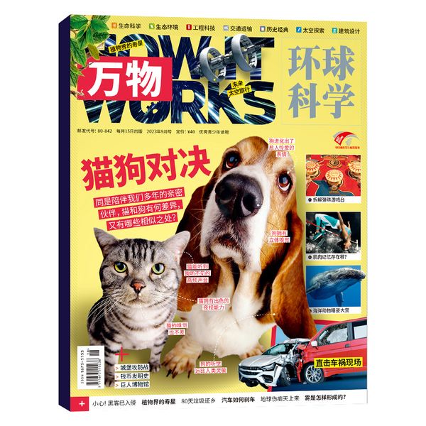 万物杂志2023年1+2+3+4++6+7+8+9+10+11月共11本 How it works环球科学科学青少年版博物科普百科历史2024过刊