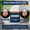 Prosvent Advanced Men's Prostate Support Natural Supplement with Saw Palmetto, Vitamin D, and Zinc to Ease Urinary Frequency & Urgency (60 Count)