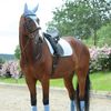 WeatherBeeta Prime Ear Bonnet, Navy, Full