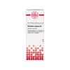 Grindelia robusta D4 DHU Dilution, 20 ml Lösung