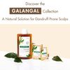 Klorane Anti-Dandruff Rebalancing Shampoo with Galangal 400ml