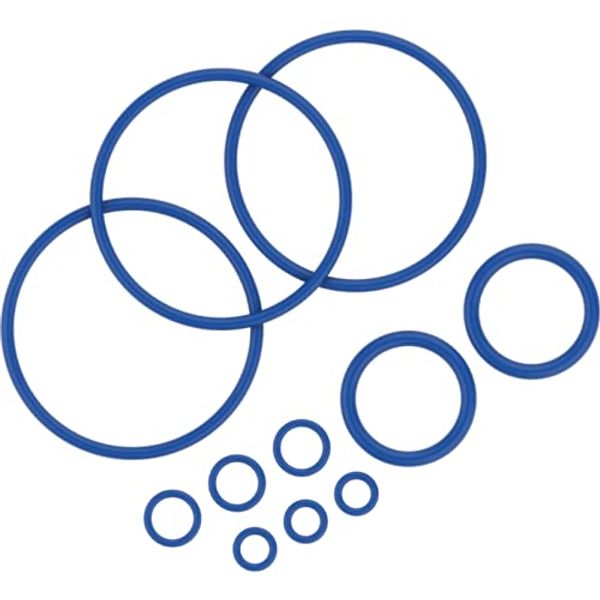 Mighty Vaporizer Seal Ring Set