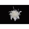 Cream chiffon flower & feather fascinator on comb. Perfect for wedding, races or other special occasion.