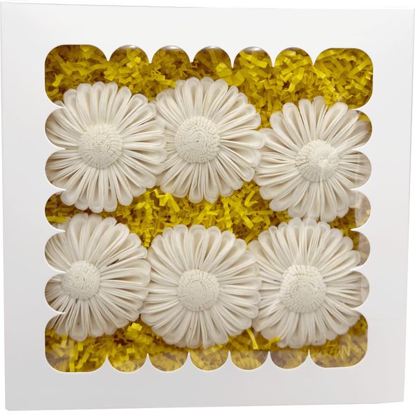 Mandarin Bird Toys 6002 Sola Daisy Beak Box