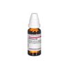 DHU Echinacea HAB C30 Dilution, 20 ml Lösung