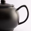 Price & Kensington Black 6 Cup Teapot