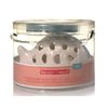 Fish Ceramic Luminary Tea Light Holder Set Yankee Candle NEW catching rays sea