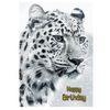 Snow Leopard Birthday Card