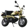 Skynet 1/12 Complete Motorcycle Honda Monkey Limited Monkey Gold