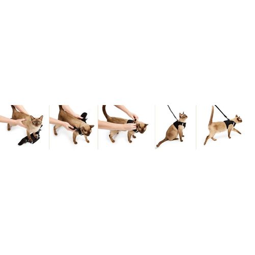TSA Fast Pass Metal Free Leash Harness - Designed for Small Pets who fit underseat of Airplane (MD)