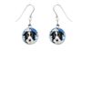Border Collie code76 on Hook Earrings Sterling Silver 925 Stamped Jewellery Gift Boxed