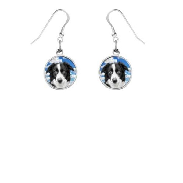 Border Collie code76 on Hook Earrings Sterling Silver 925 Stamped Jewellery Gift Boxed