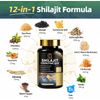 Dynamic Vitality Bundle - Sea Moss Multivitamin & Shilajit Power Combo US
